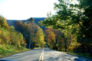 Get Your Car In Gear For The New School Year